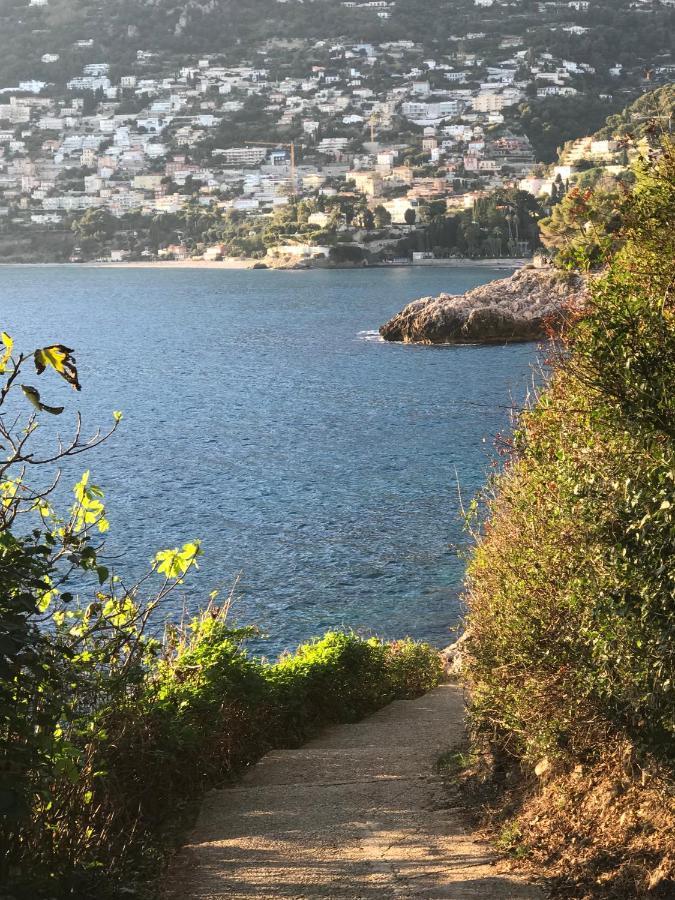 Les Lilas Roquebrune-Cap-Martin Exterior foto